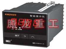 溫度表、數(shù)字顯示儀、濕度表