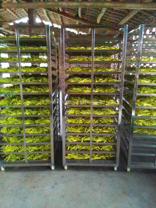 黃花菜烘干機(jī)、黃花菜烘干設(shè)備、黃花菜干燥機(jī)、黃花菜干燥設(shè)備、
